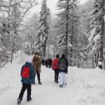 Na pierwszym planie zaśnieżony górski krajobraz - drzewa, ścieżka i pobocza pokryte dużą ilością śniegu. Na ścieżce widoczna grupa osób uchwyconych od tyłu w trakcie marszu po górach. Jeden z chłopców stojących na ścieżce w oczekiwaniu na dochodzacego do niego dziewczynki.